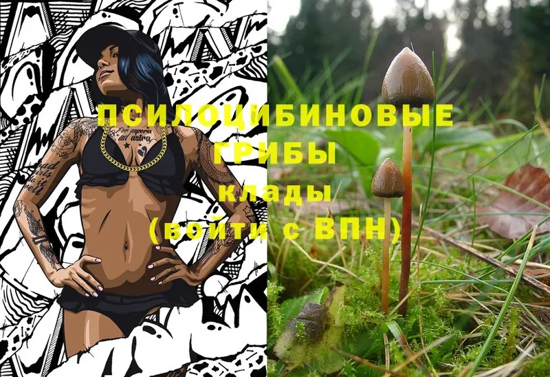 Галлюциногенные грибы Magic Shrooms  Камбарка 